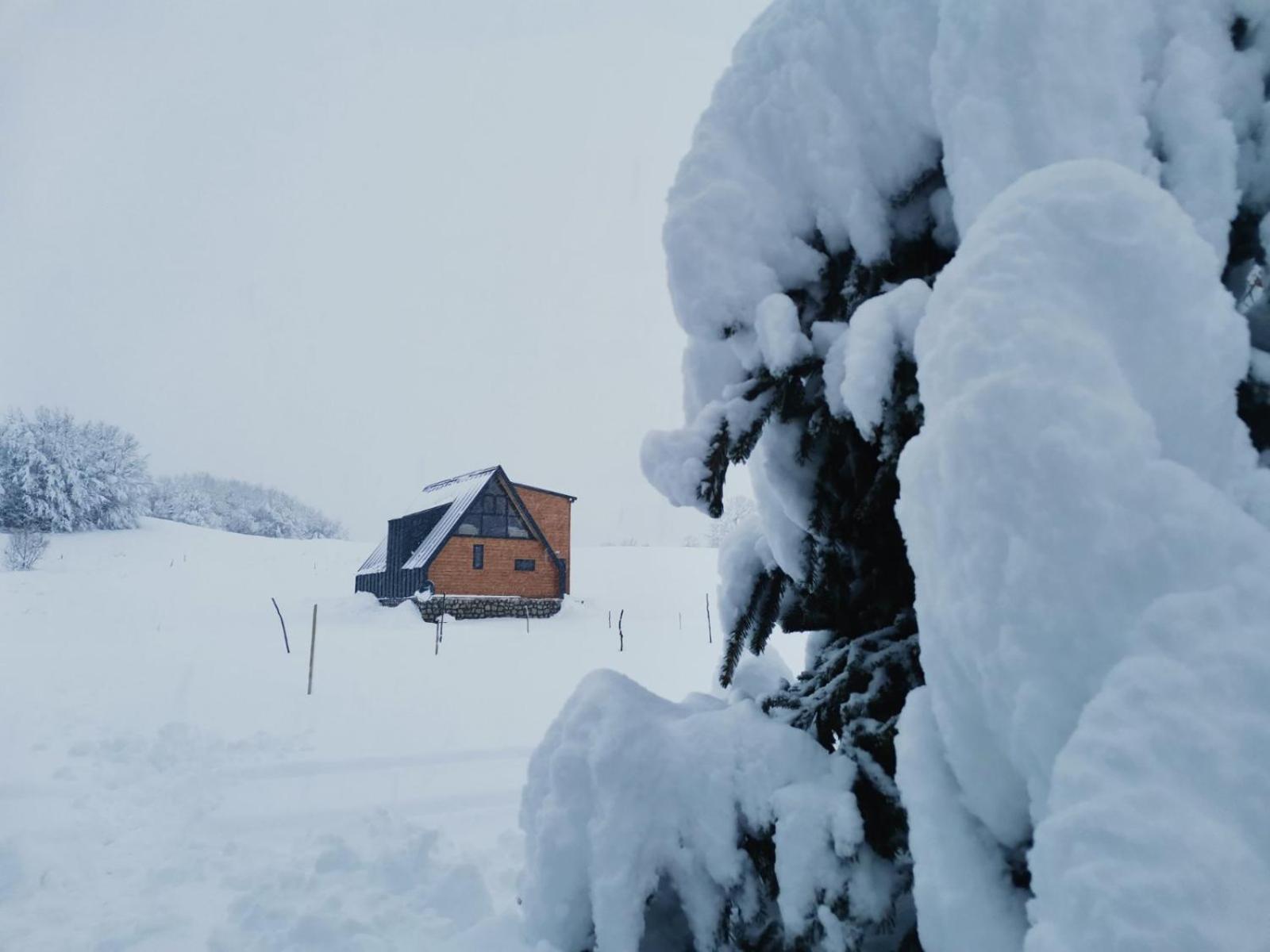 Durmitor Sunset Villa Žabljak Eksteriør billede